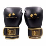 Keywords: Black boxing gloves, white background