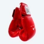 Round 10, Boxing Training Gloves