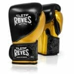 Clett Reeves high precision training gloves in black and gold, 16 oz.